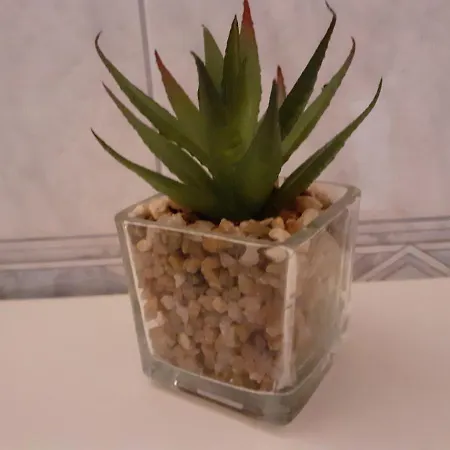 Siesta Apartman Split