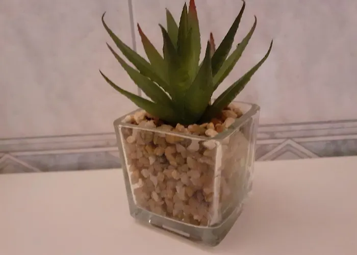 Siesta Lägenhet Split